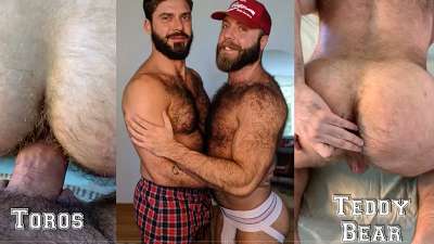 TeddyBear & Toros